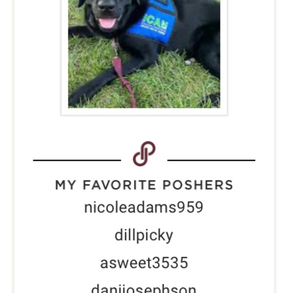 Meet your Posher, Bailey - Picture 4 of 10